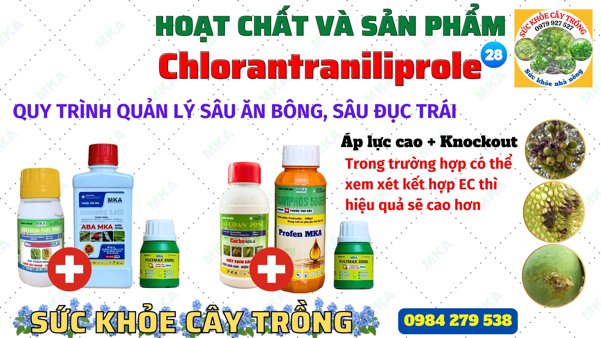 Diasautrai MKA thuốc đặc trị sâu đục trái